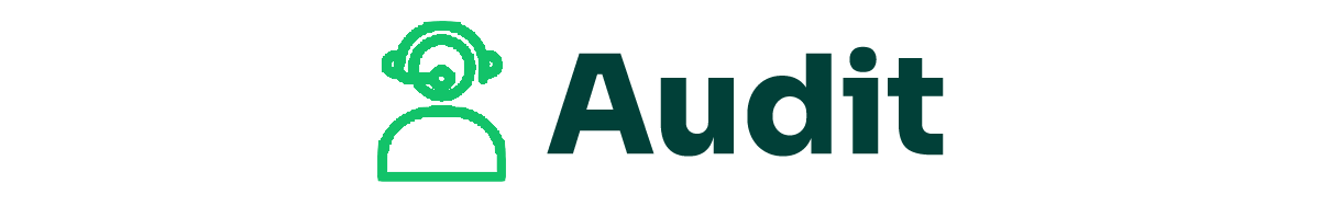 Audit